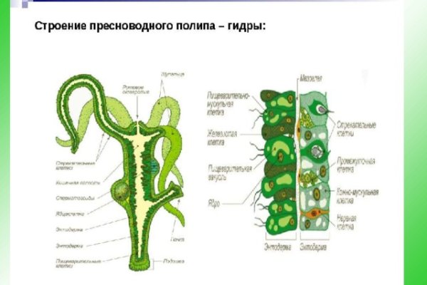 Блэк спрут зеркало blacksprut pl