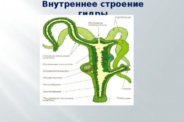 Black sprut зеркало официальный сайт bs2web top