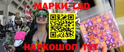 шишки Абакан