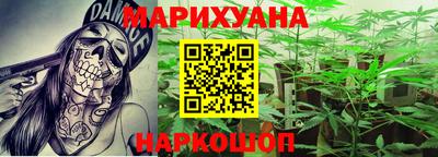 шишки Абакан