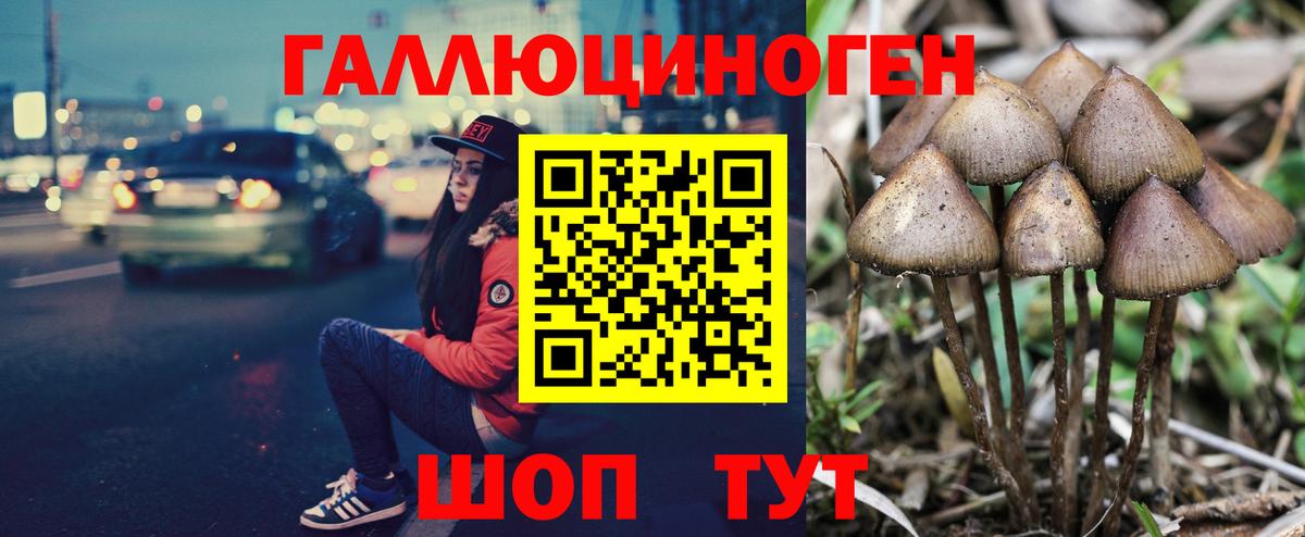 Россия  Галлюциногенные грибы мицелий  дарнет шоп  Вход с VPN 